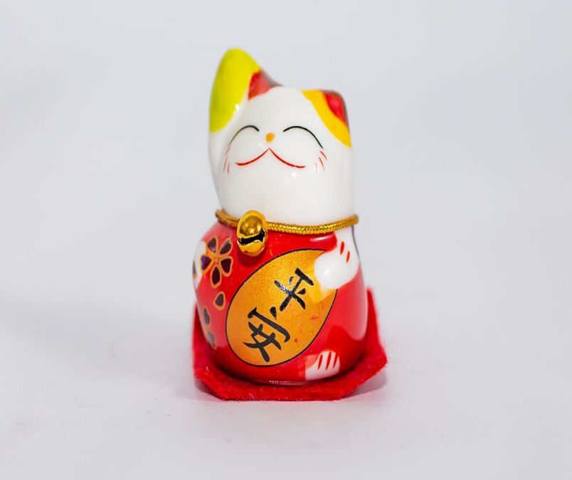 Những hình nền mèo thần tài - Hình số 9