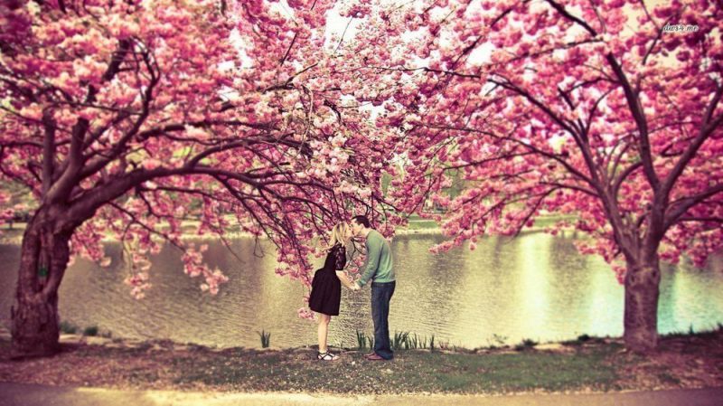Những hình nền tình yêu cute - Hình số 6