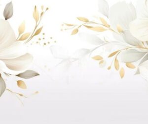 Những hình nền trắng facebook - Hình số 10