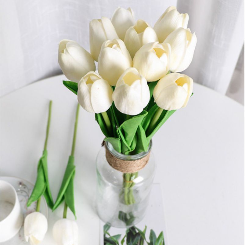 Những hình nền hoa tulip trắng chill - Hình số 10