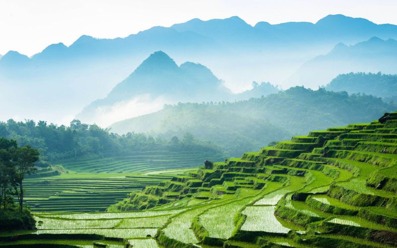 Những hình nền phong cảnh Việt Nam - Hình số 1