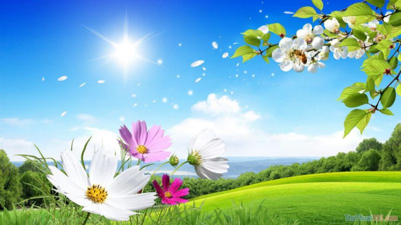 Những hình nền win 10 đẹp - Hình số 9