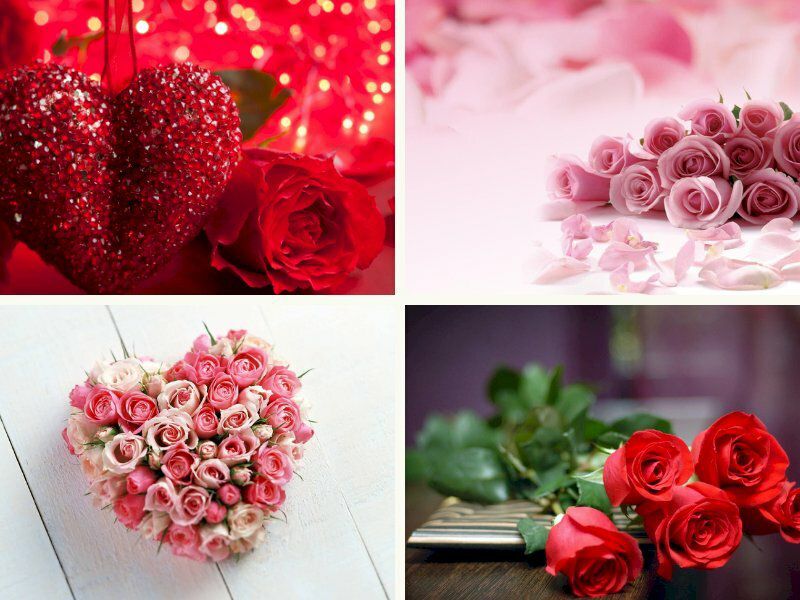 Những hình nền hoa hồng - Hình số 6