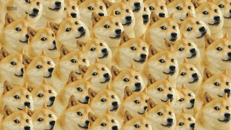 Những hình nền meme dog - Hình số 5