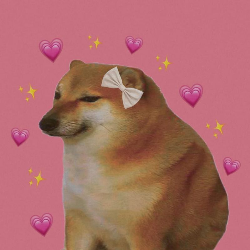 Những hình nền meme dog - Hình số 8