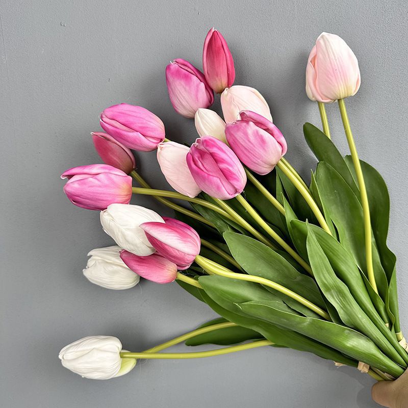 Những hình nền hoa tulip trắng hồng - Hình số 4