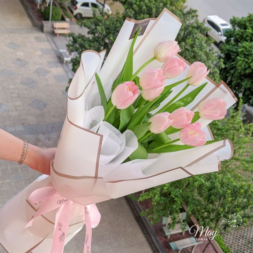 Những hình nền hoa tulip trắng hồng - Hình số 6