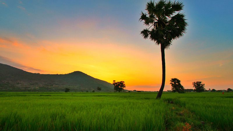 Những hình nền 4k phong cảnh cho máy tính - Hình số 7
