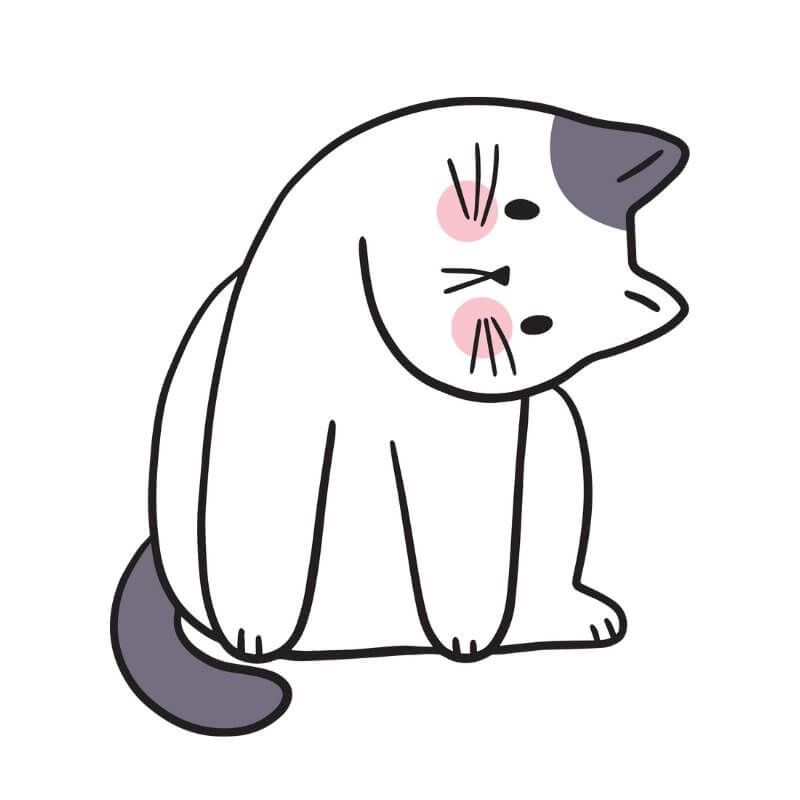 Những ảnh meme cute vô tri - Hình số 5