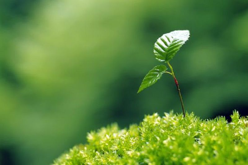 Những hình nền thiên nhiên màu xanh - Hình số 1