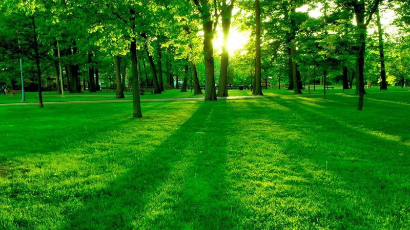 Những hình nền thiên nhiên màu xanh - Hình số 2