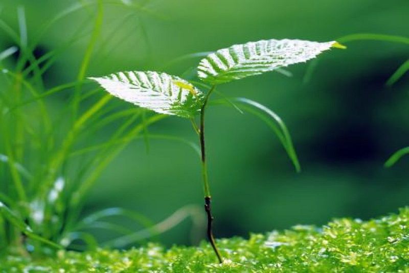 Những hình nền thiên nhiên màu xanh - Hình số 4