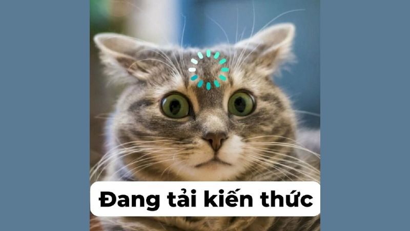 Những ảnh meme hài hước cute - Hình số 2