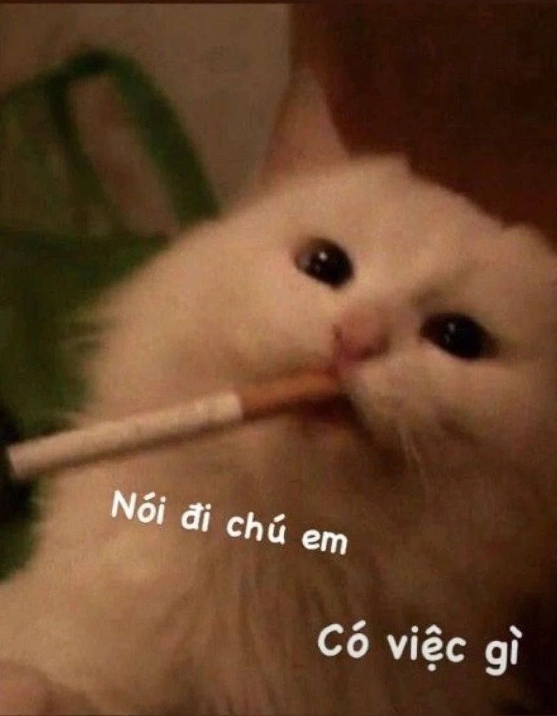 Những ảnh avatar meme bựa - Hình số 3