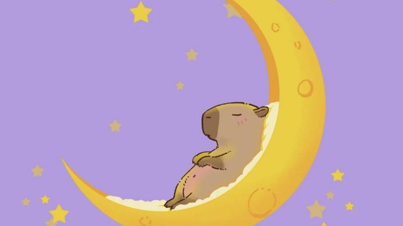Những hình nền cute capybara cho máy tính - Hình số 10