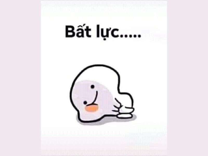 Những ảnh meme cute đầu tròn - Hình số 4