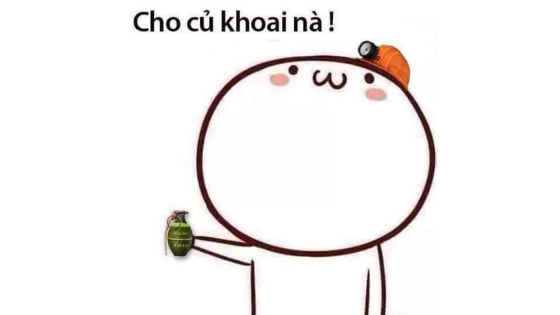 Những ảnh meme cute đầu tròn - Hình số 5