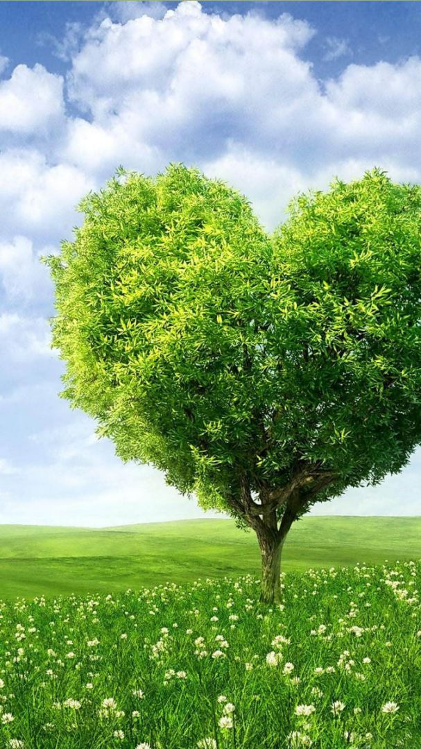 Những hình nền thiên nhiên cho điện thoại - Hình số 7