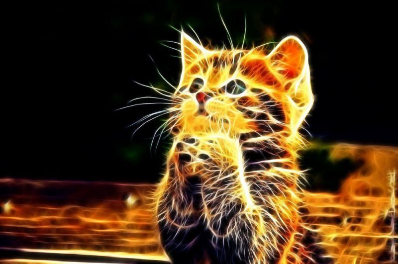 Những hình nền cute iphone cho máy tính - Hình số 5