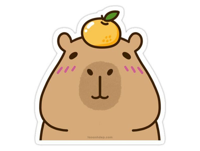 Những hình nền cute capybara vô tri - Hình số 6