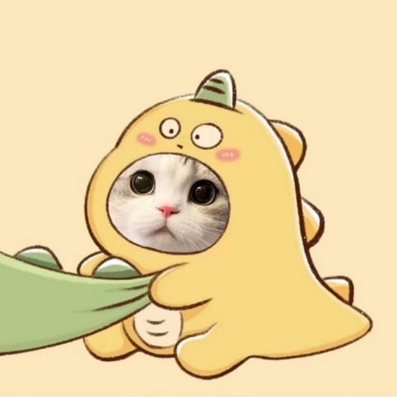 Những ảnh avatar meme cute - Hình số 3