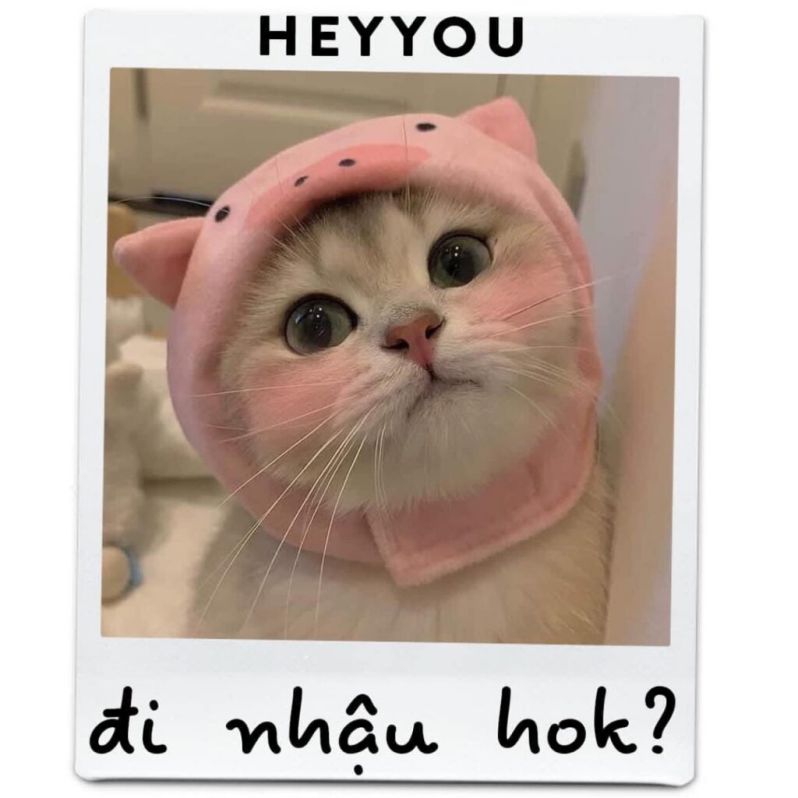 Những ảnh avatar meme cute - Hình số 4