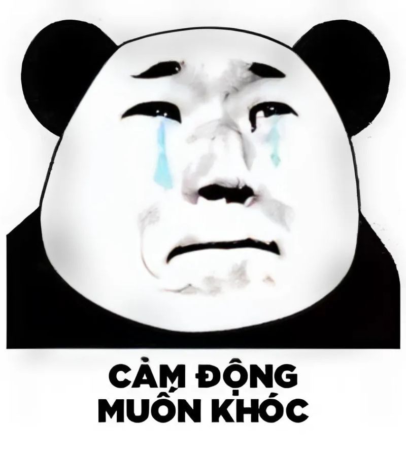 Những ảnh meme hài hước gấu trúc - Hình số 1