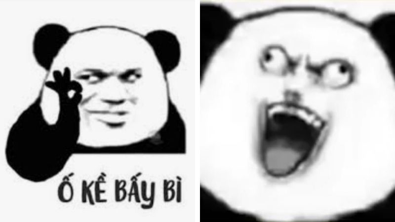 Những ảnh meme hài hước gấu trúc - Hình số 2