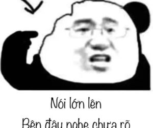Những ảnh meme hài bựa gấu trúc - Hình số 4