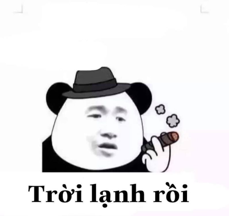 Những ảnh meme hài hước gấu trúc - Hình số 9