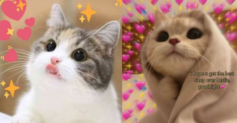 Những ảnh meme hài hước bựa - Hình số 3
