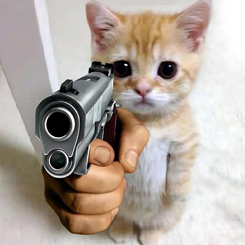 Những ảnh meme mèo - Hình số 6