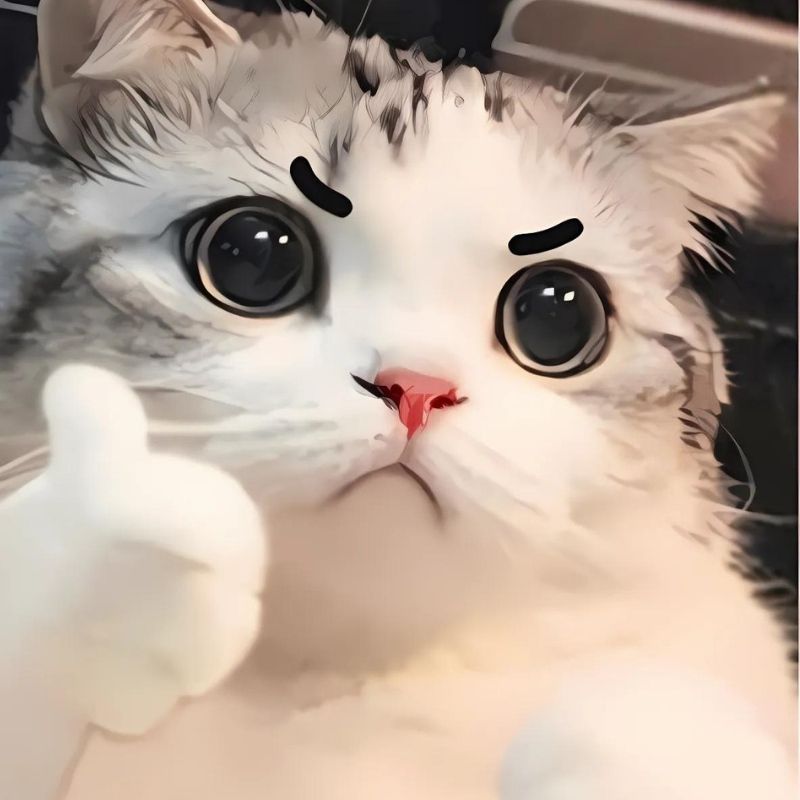 Những ảnh meme cute mèo - Hình số 3