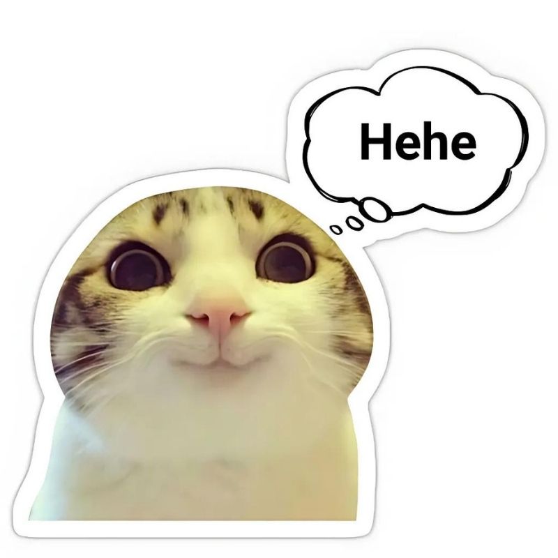 Những ảnh meme cute mèo - Hình số 4
