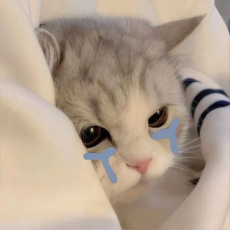 Những ảnh meme cute khóc - Hình số 2