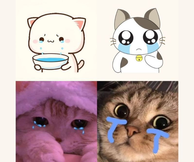 Những ảnh meme cute khóc - Hình số 4