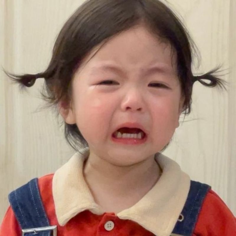 Những ảnh meme cute khóc - Hình số 5