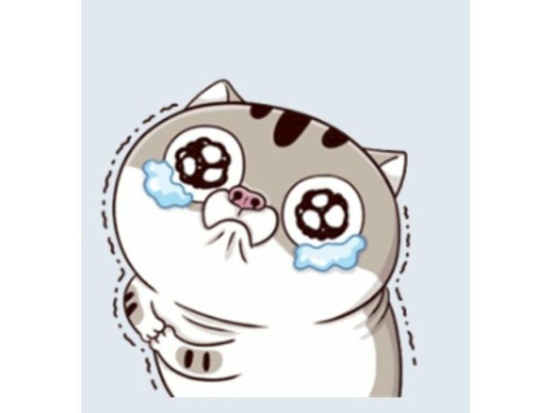 Những ảnh meme cute khóc - Hình số 6