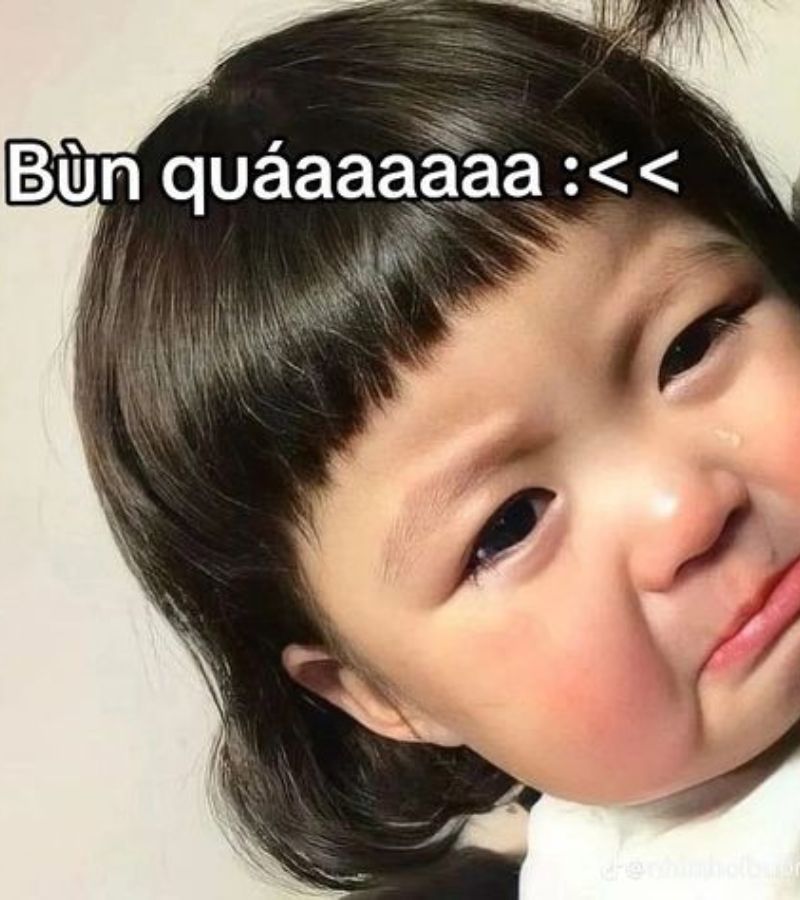 Những ảnh meme cute khóc - Hình số 8