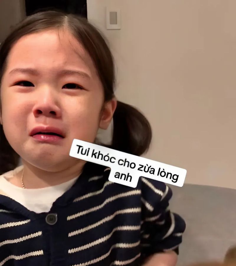 Những ảnh meme cute khóc - Hình số 9
