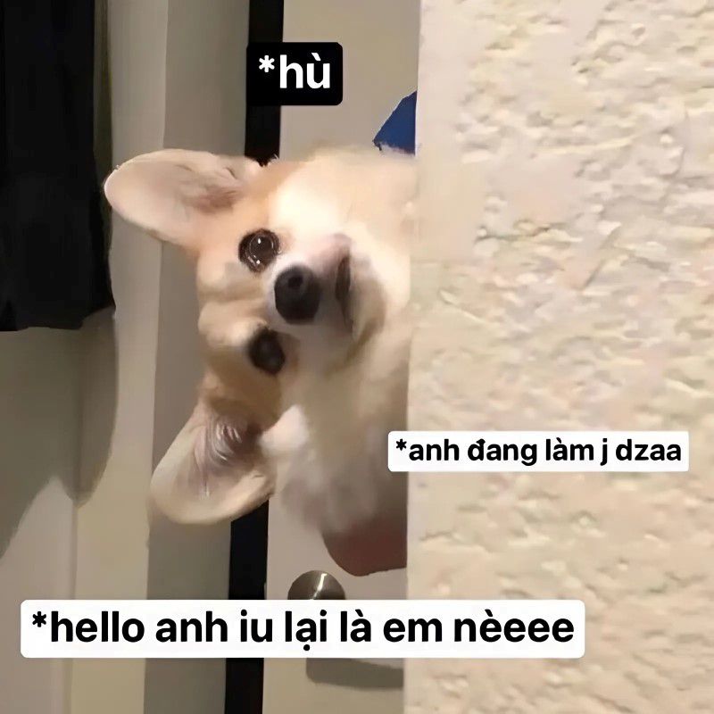 Những ảnh meme hài hước tình yêu - Hình số 5