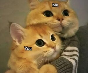 Những ảnh meme cute tình yêu - Hình số 5