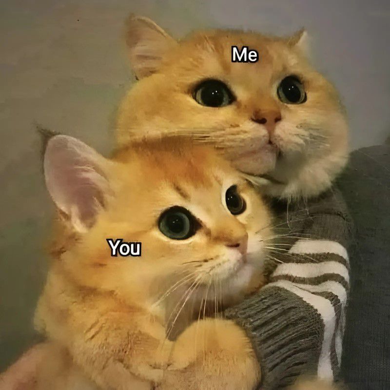 Những ảnh meme cute tình yêu - Hình số 5