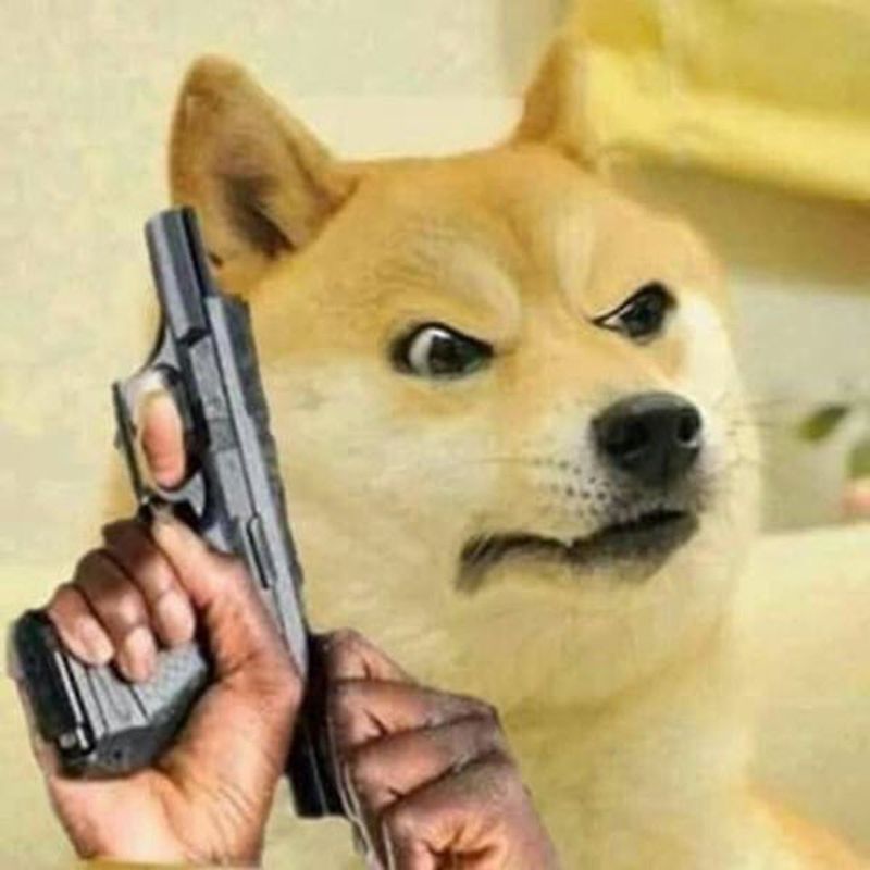 Những ảnh meme cầm súng - Hình số 2
