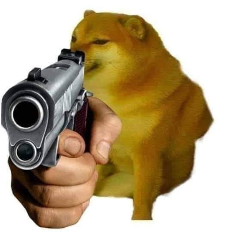 Những ảnh meme cầm súng - Hình số 3