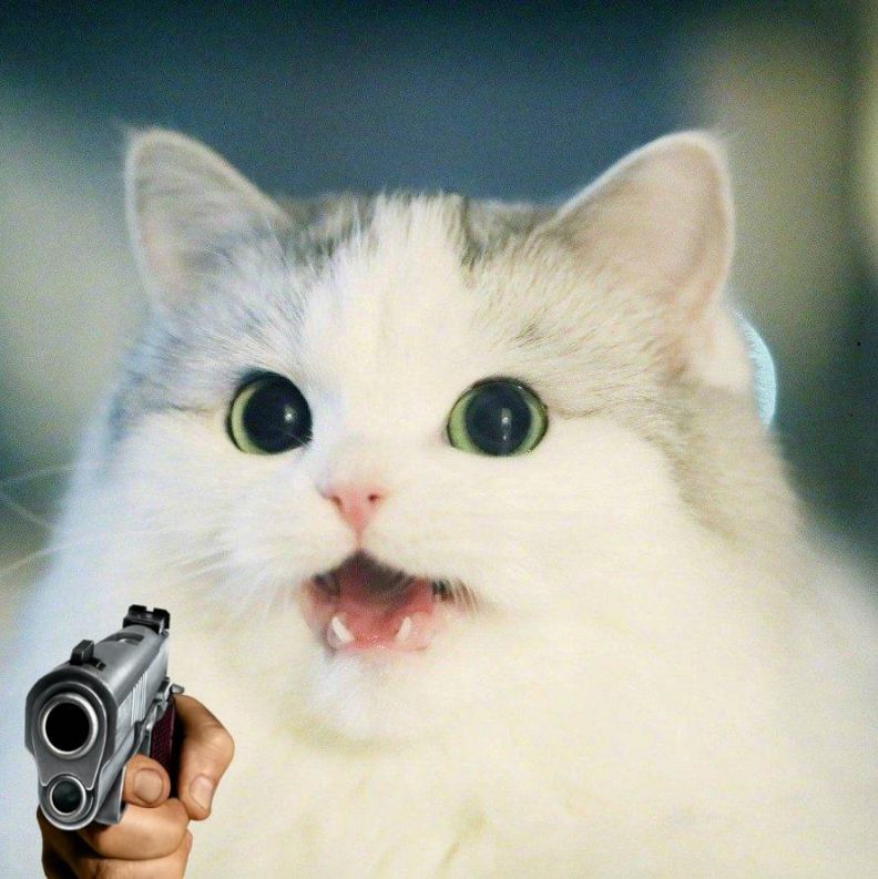Những ảnh meme cầm súng - Hình số 4