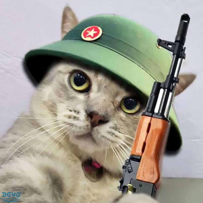 Những ảnh meme cầm súng - Hình số 6