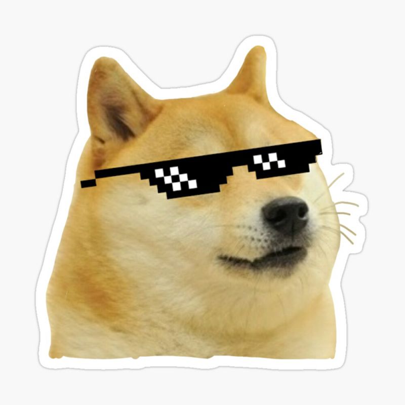 Những ảnh avatar meme chó - Hình số 3