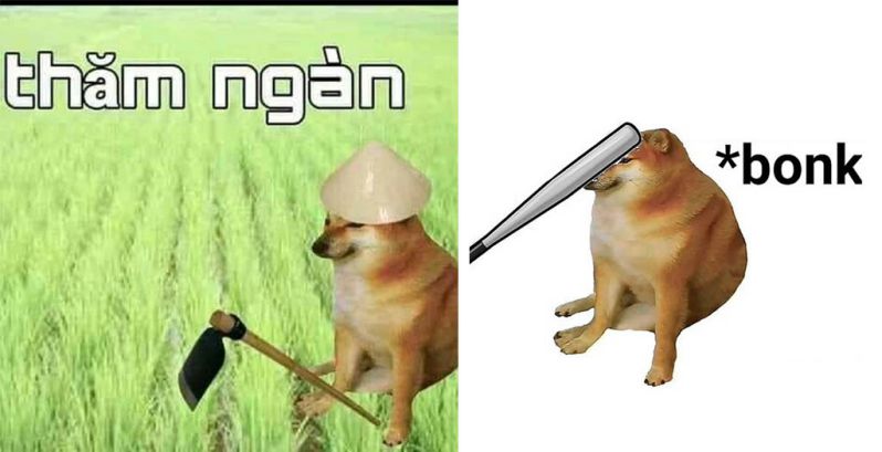 Những ảnh meme dog - Hình số 7