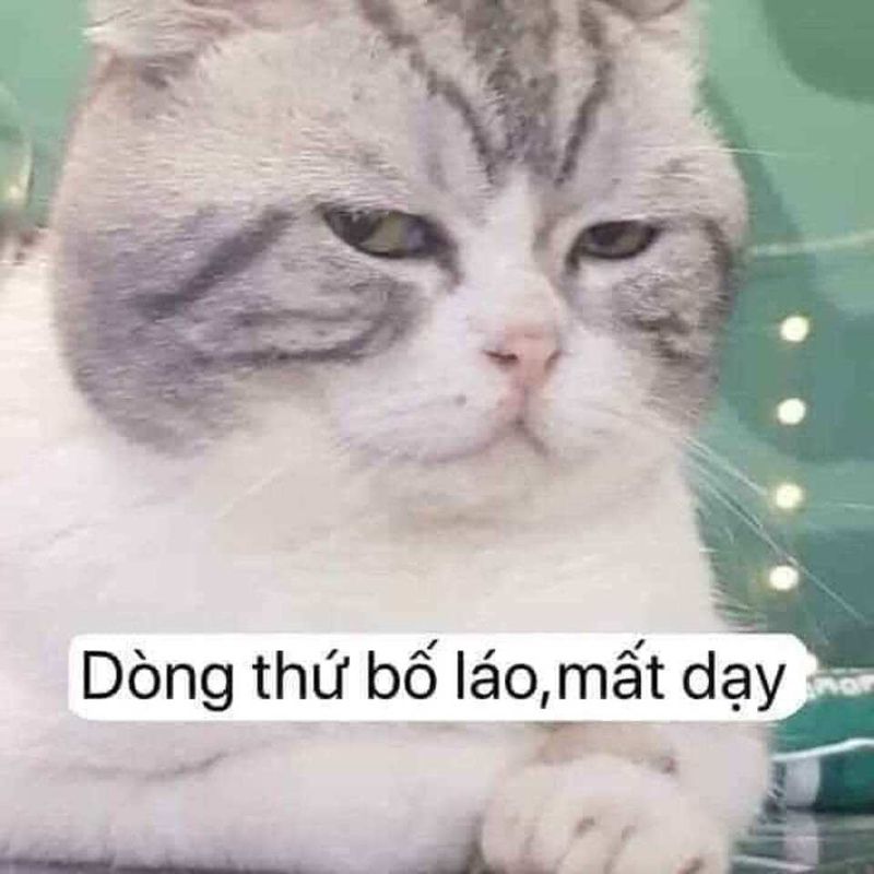 Những ảnh meme chửi - Hình số 4